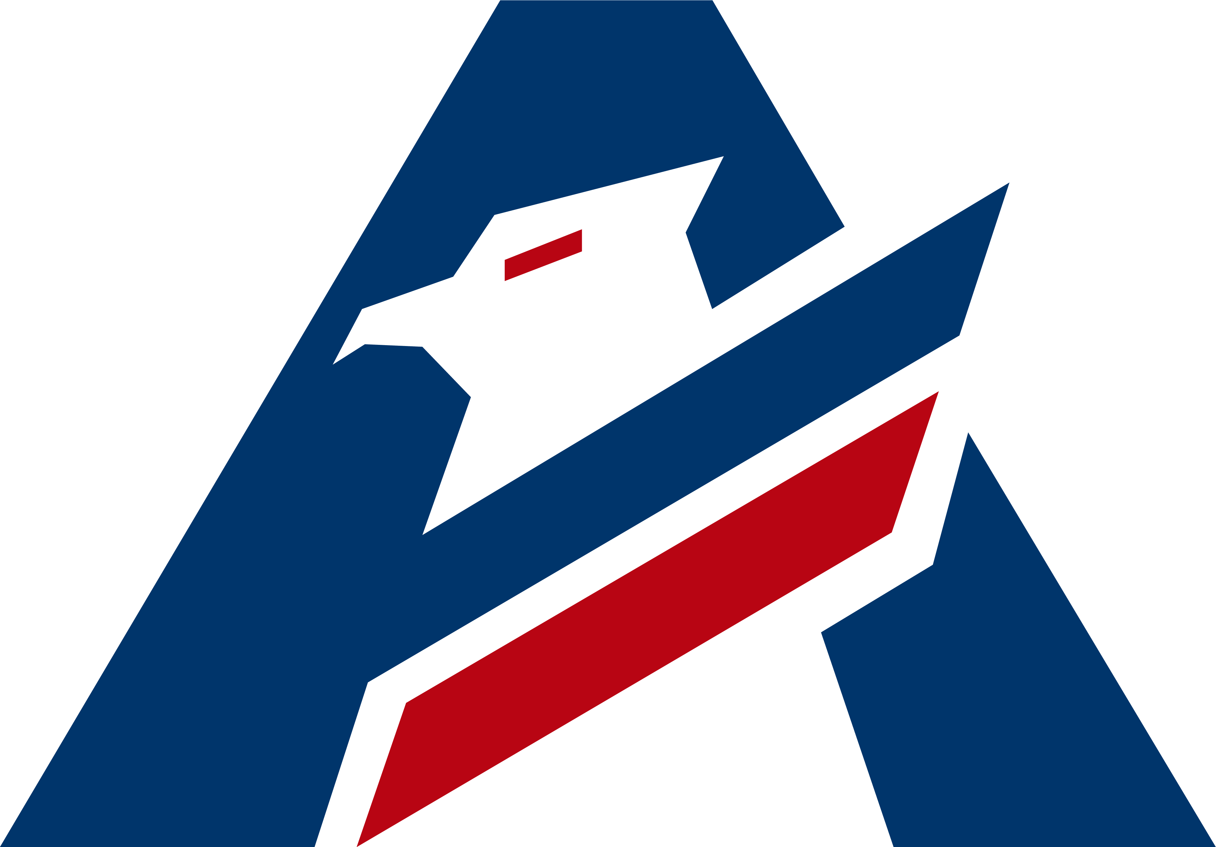americanfleetinsurance